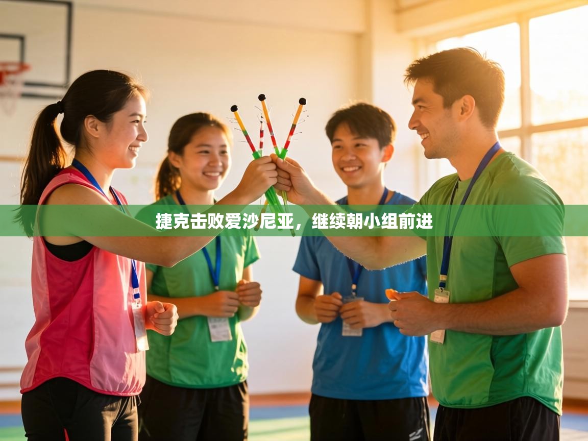 捷克击败爱沙尼亚,继续朝小组前进 第1张